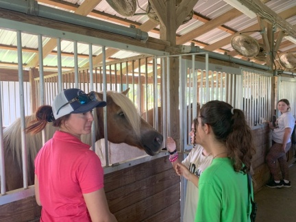 20250816 152531520 iOS