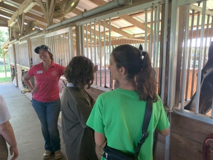 20250816 152848620 iOS