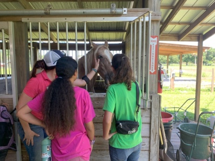 20250816 152453662 iOS