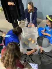 Testing out the boats