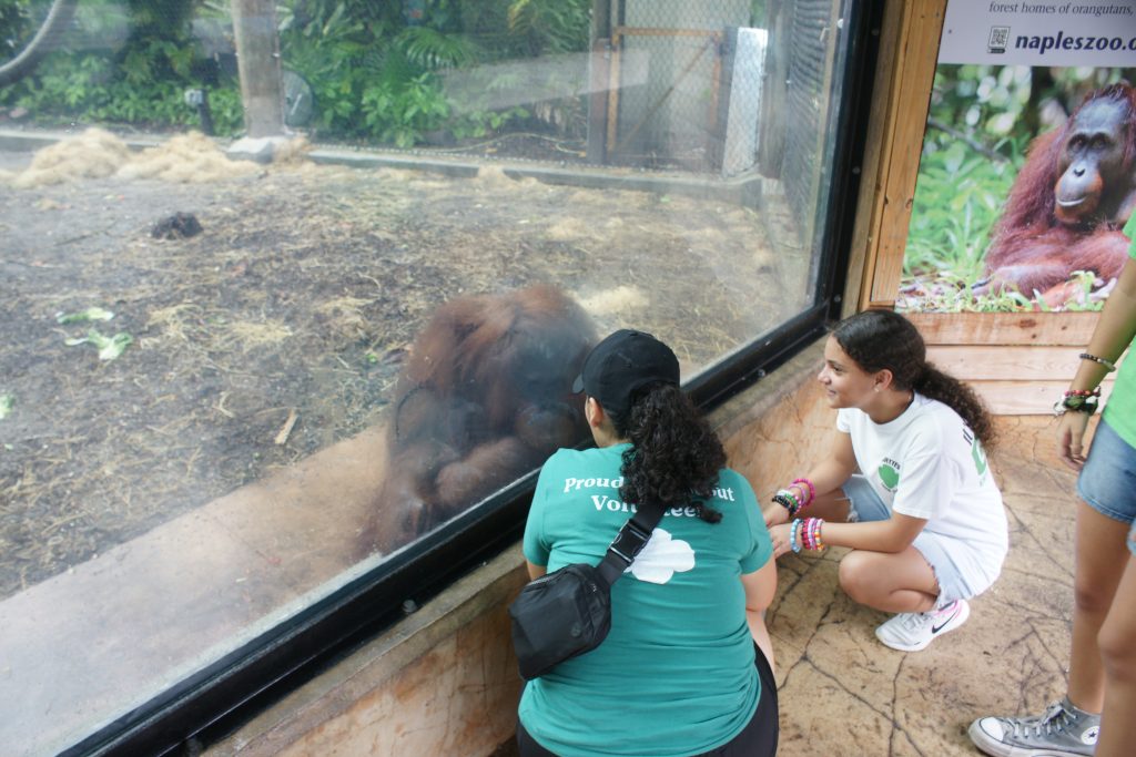 girl scout and a leader kneeling next to a glass wall. on the other side is an orangutan.